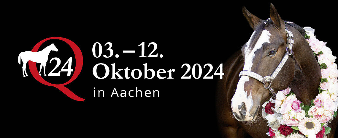 Ein Werbebanner auf schwarzem Hintergrund zeigt rechts den Kopf eines dunkelbraunen Pferdes mit weißer Blesse, das ein Showhalfter und einen Blumenkranz trägt. Links steht gut lesbarer Text: „Q24 – 03.–12. Oktober 2024 – in Aachen“.