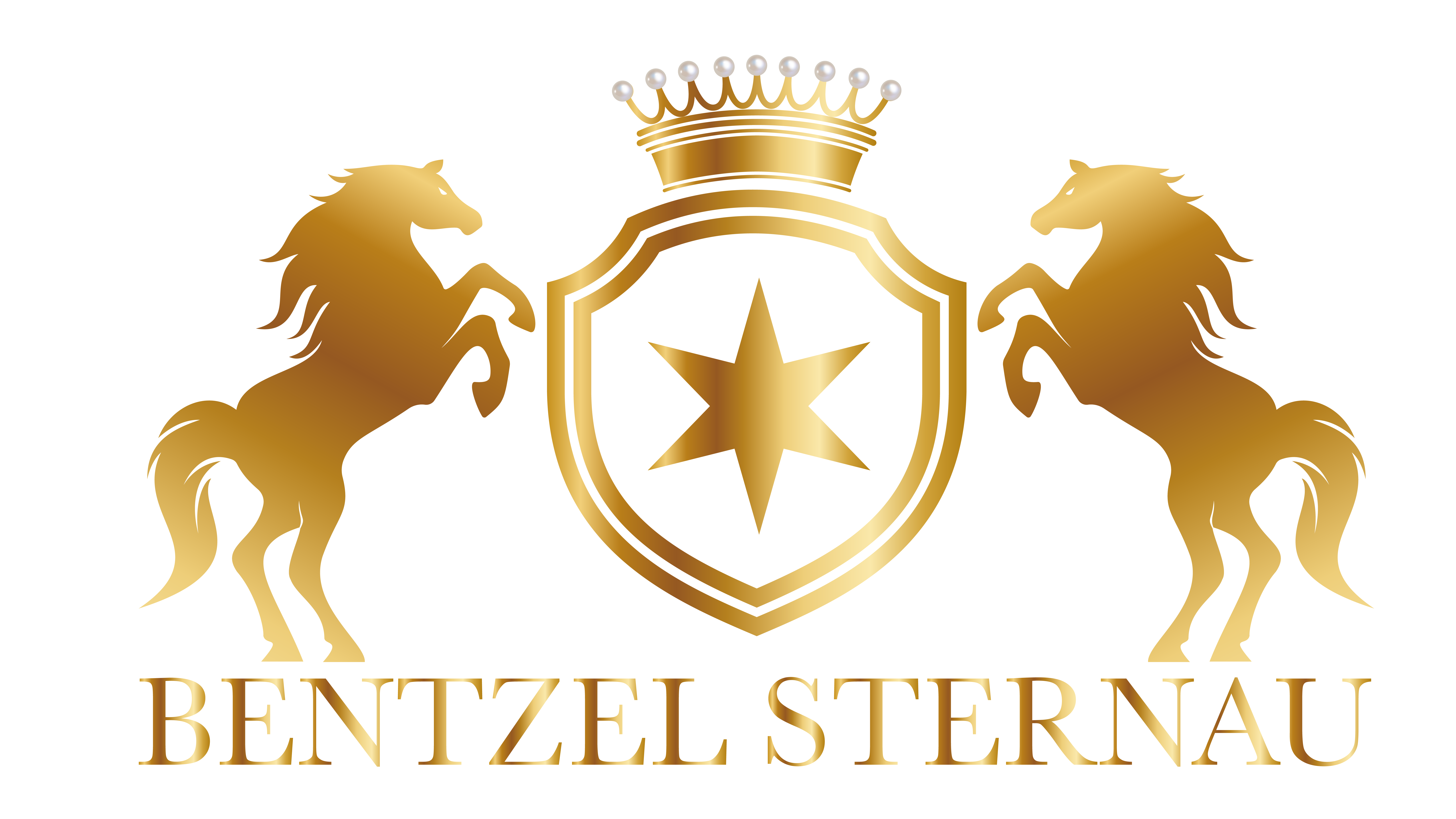 Logo von Bentzel Sternau