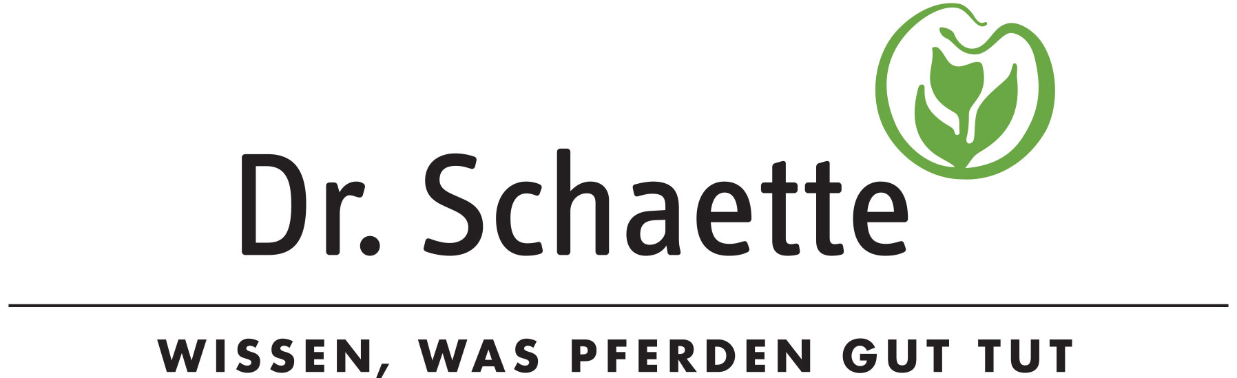 Logo von Dr Schaette