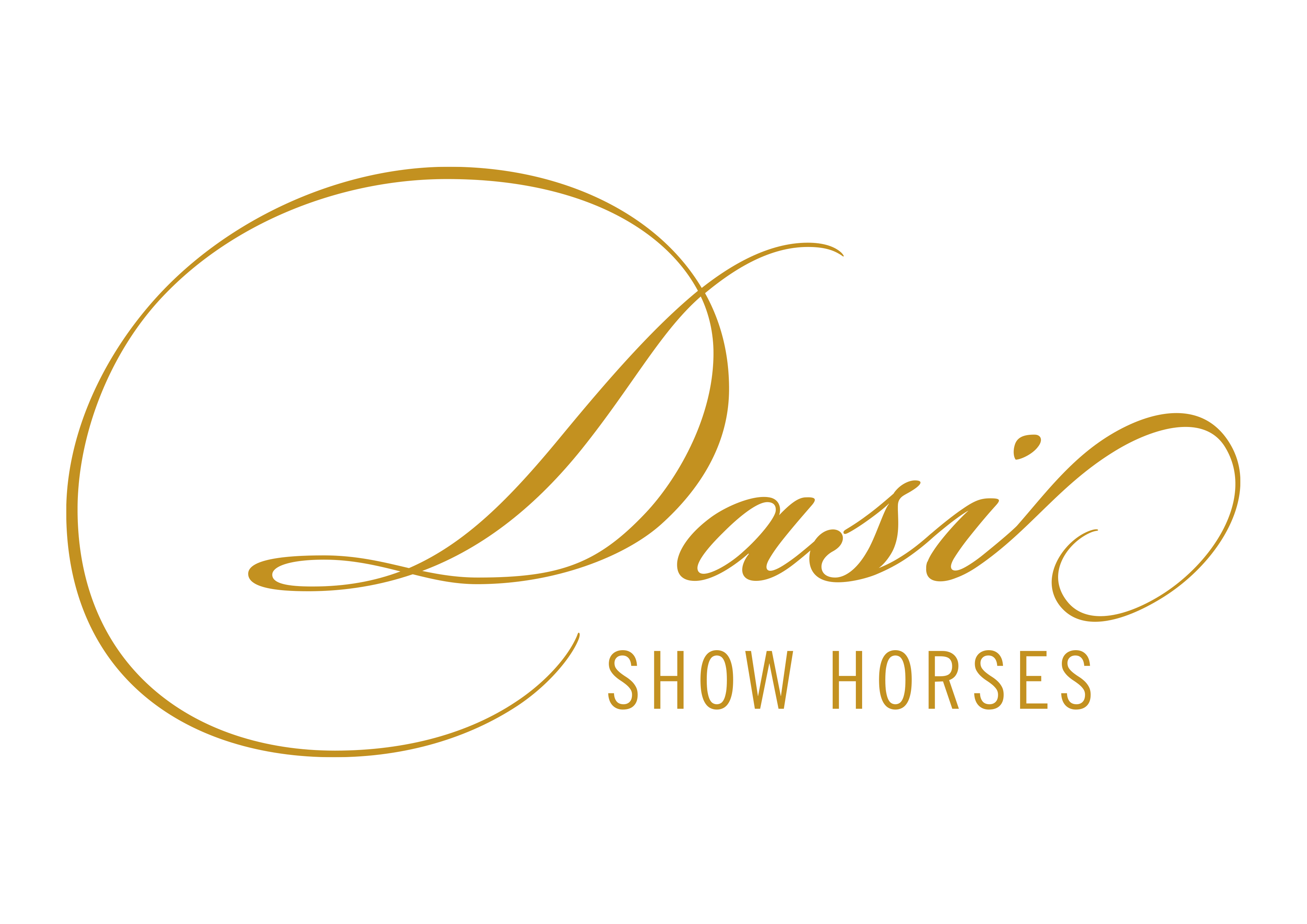 Logo von Dasi Show Horses